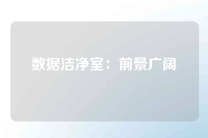 數據潔凈室：前景廣闊